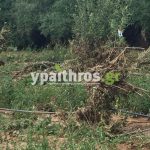 Ανυπολόγιστες οι καταστροφές στις καλλιέργειες της Αρκαδίας