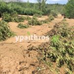 Ανυπολόγιστες οι καταστροφές στις καλλιέργειες της Αρκαδίας