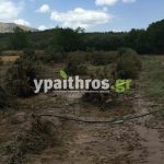 Ανυπολόγιστες οι καταστροφές στις καλλιέργειες της Αρκαδίας