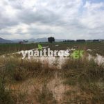 Ανυπολόγιστες οι καταστροφές στις καλλιέργειες της Αρκαδίας