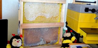 Σεμινάριο μελισσοκομίας στην Καβάλα