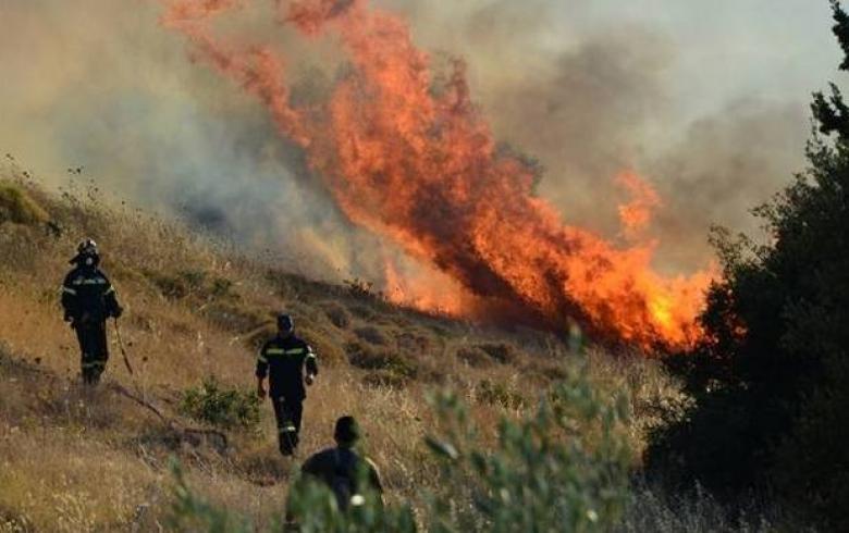 eoasnl-amesi-kai-oliki-apozimiosi-ton-pyroplikton-agroton-39531