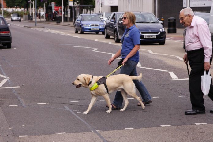 Στον Βούτση ομάδα τυφλών πολιτών που χρησιμοποιούν σκύλους οδηγούς για τις μετακινήσεις τους