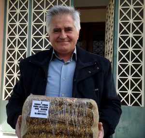 Σκληρός αγώνας για άριστο καπνό, αλλά με μετεξεταστέα τιμή 