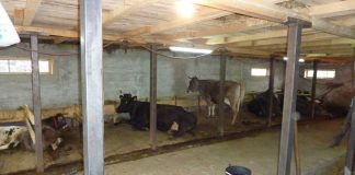 Διευκρινίσεις για τα πρόχειρα καταλύματα των κτηνοτρόφων