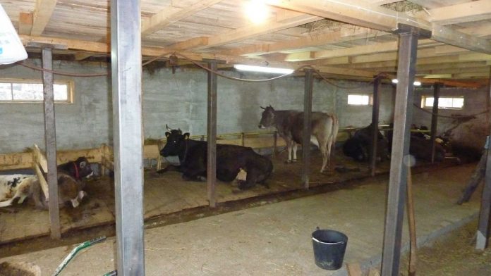 Διευκρινίσεις για τα πρόχειρα καταλύματα των κτηνοτρόφων