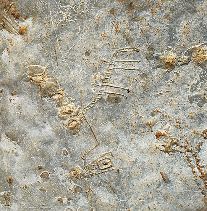 Ταξίδι στα έγκατα  του ποταμού Αγγίτη