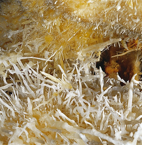 Ταξίδι στα έγκατα του ποταμού Αγγίτη