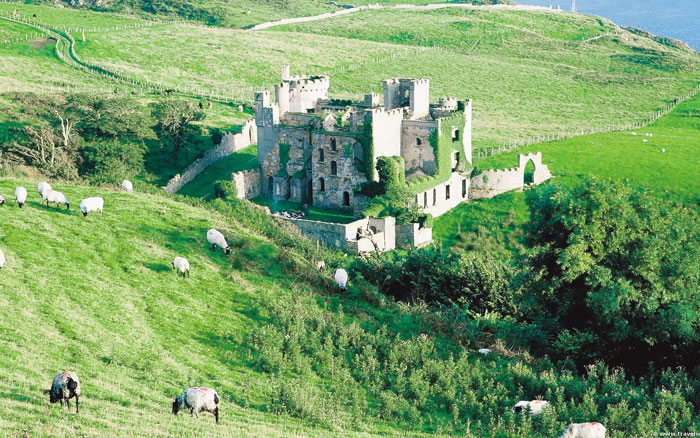 Ο αγροδιατροφικός τομέας της Ιρλανδίας συνέβαλε στην έξοδο από την κρίση