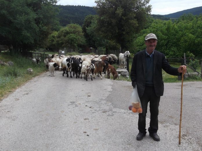 Το εκβιαστικό δίλημμα και ο χαμηλοσυνταξιούχος της υπαίθρου Το εκβιαστικό δίλημμα και ο χαμηλοσυνταξιούχος της υπαίθρου