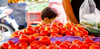 Απλούστεροι κανόνες και μεγαλύτερη στήριξη για τους παραγωγούς οπωροκηπευτικών