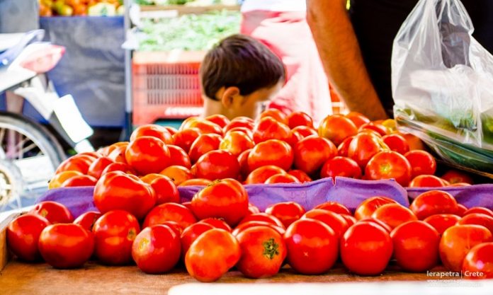 Απλούστεροι κανόνες και μεγαλύτερη στήριξη για τους παραγωγούς οπωροκηπευτικών Απλούστεροι κανόνες και μεγαλύτερη στήριξη για τους παραγωγούς οπωροκηπευτικών