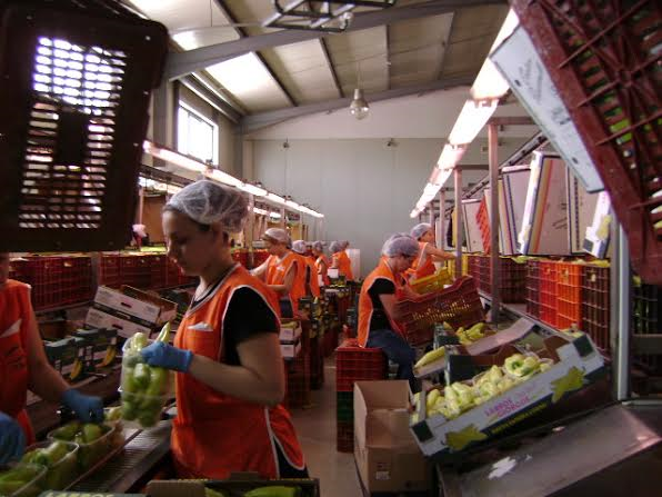 Η «Ύπαιθρος Χώρα» στο Ηράκλειο