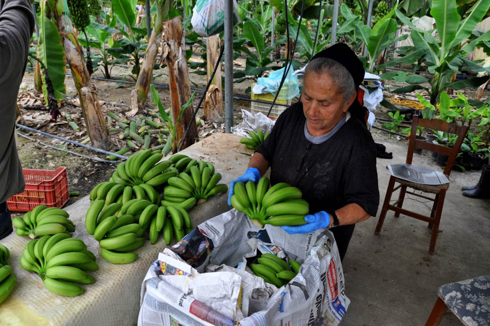 Η «Ύπαιθρος Χώρα» στο Ηράκλειο