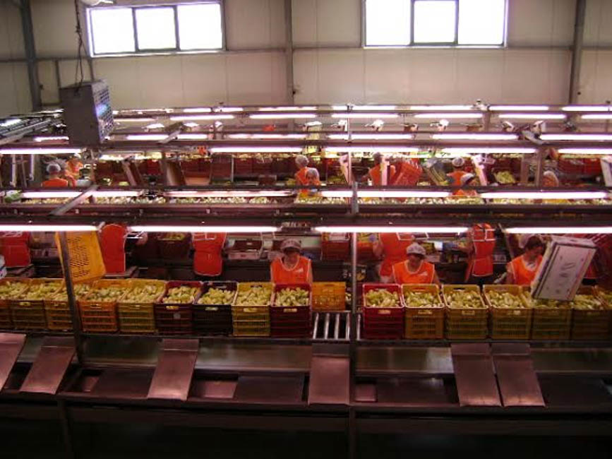 Η «Ύπαιθρος Χώρα» στο Ηράκλειο