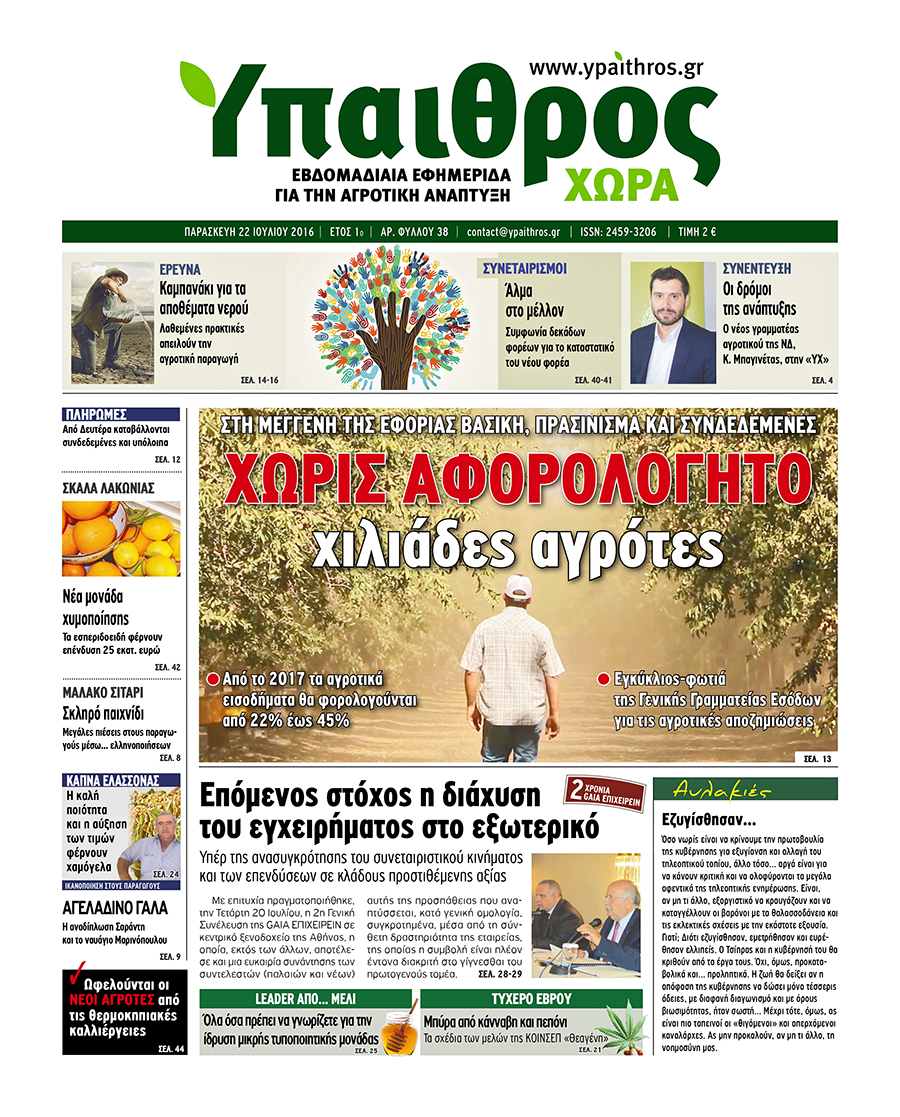 fyllo-38-22-iouliou-2016-43133