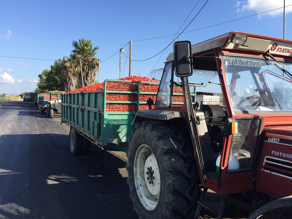 15-ton-stremmaton-stin-ileia-echei-epireastei-apo-tis-vrochoptoseis-43228