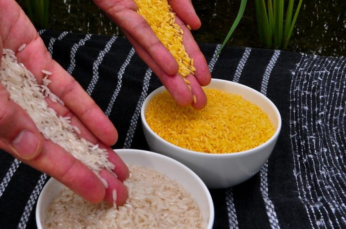 Νομπελίστες vs Greenpeace για το χρυσό ρύζι