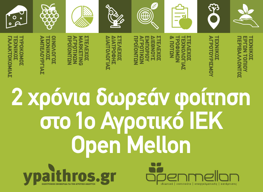 YPAITHROS OPENMELLON 2 years