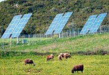 Δύο μήνες παράταση για τις δηλώσεις των αγροτικών φωτοβολταϊκών