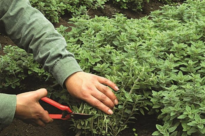 Με παρουσία Αποστόλου και Κασίμη η 5η συνεδρίαση της Επ. Παρακολούθησης του ΠΑΑ Με παρουσία Αποστόλου και Κασίμη η 5η συνεδρίαση της Επ. Παρακολούθησης του ΠΑΑ