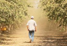 Διαβάστε στην «ΥΧ»: Αφορολόγητο ΤΕΛΟΣ για χιλιάδες αγρότες