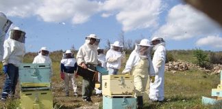 Ένα σχολείο για υποψήφιους μελισσοκόμους