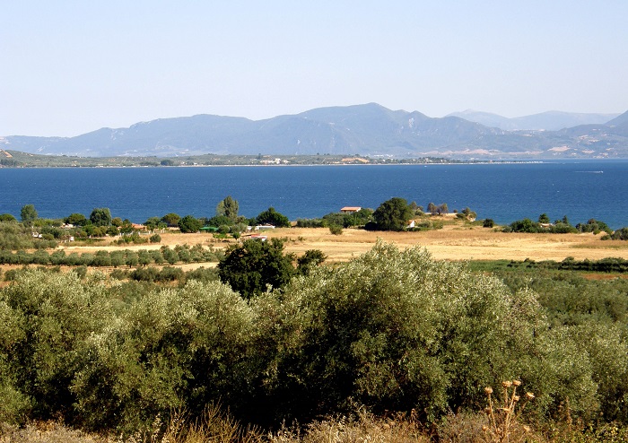 Α. Γκλέτσος στην "ΥΧ": Μειώνεται η αγροτική παραγωγή της Στυλίδας