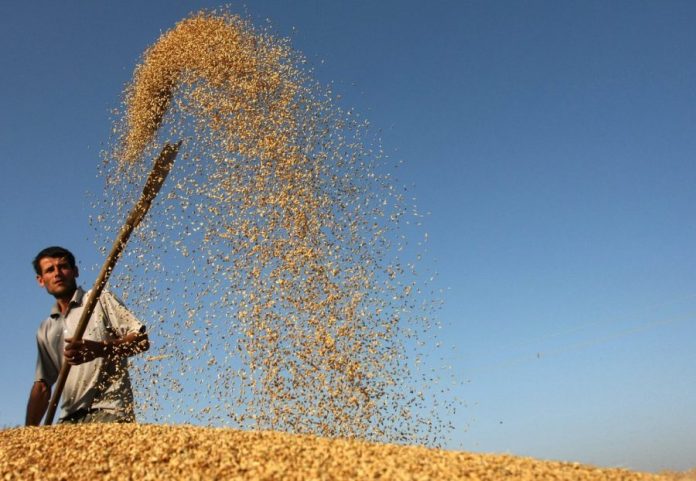 Άνοδο 4,2% κατέγραψε ο Δείκτης Τιμών αγροτικών προϊόντων του FAO τον Ιούνιο Άνοδο 4,2% κατέγραψε ο Δείκτης Τιμών αγροτικών προϊόντων του FAO τον Ιούνιο