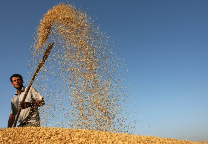 Άνοδο 4,2% κατέγραψε ο Δείκτης Τιμών αγροτικών προϊόντων του FAO τον Ιούνιο