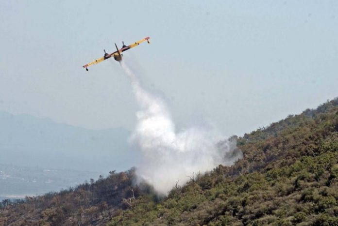 Κάηκαν 150 στρέμματα δάσους στον Πάρνωνα