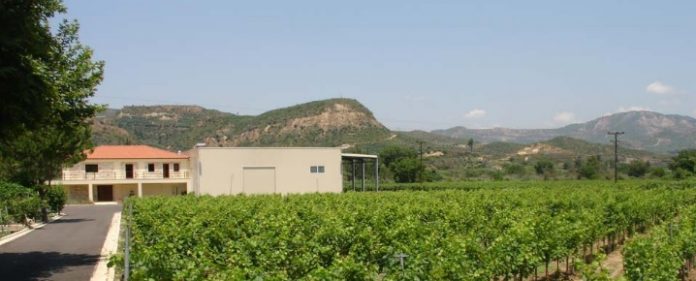 Κτήμα «Ολύμπια Γη»: Από την Αρχαία Ολυμπία με εξαγωγές σε Ρωσία, Κίνα και Ολλανδία Κτήμα «Ολύμπια Γη»: Από την Αρχαία Ολυμπία με εξαγωγές σε Ρωσία, Κίνα και Ολλανδία