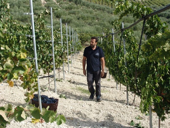 Δεν μπορείς εύκολα να συνεργαστείς με το ελληνικό κράτος Δεν μπορείς εύκολα να συνεργαστείς με το ελληνικό κράτος
