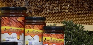 Ο Ελληνοαµερικανός που κέρδισε το στοίχηµα της ποιότητας για το µέλι της Καλύµνου