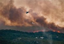 Παραδόθηκε το πόρισμα της Επιτροπής διερεύνησης των αιτίων πυρκαγιών στην Ελλάδα