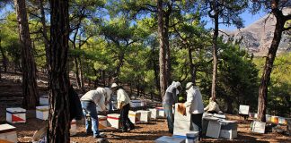 Πυρκαγιά στο πευκοδάσος Σελάκανο Ιεράπετρας