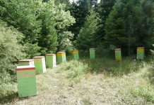 Στα πρόθυρα καταστροφής οι μελισσοκόμοι της Αρκαδίας
