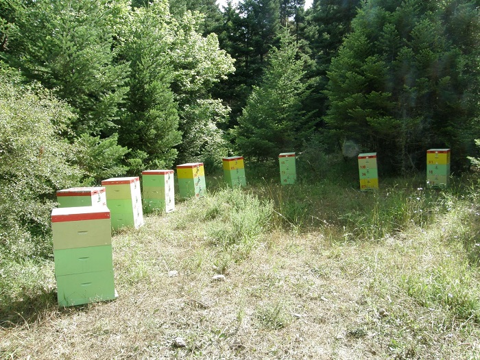 sta-prothyra-katastrofis-oi-melissokomoi-tis-arkadias-44122