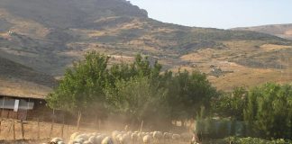 Στα συρτάρια του ΥΠΑΑΤ το πρόγραμμα για τα κτηνοτροφικά πάρκα