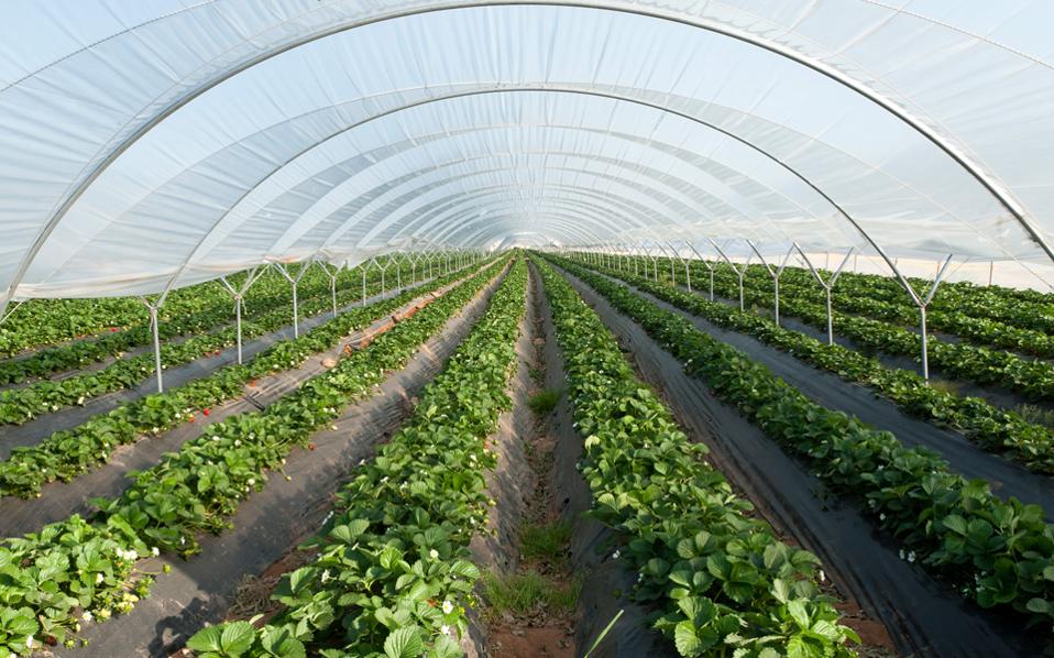 neo-programma-espa-gia-ton-agrodiatrofiko-tomea-42092