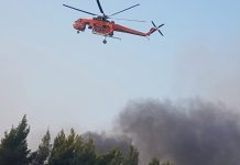 Συνεχίζεται η μάχη με τις φλόγες στη Β. Εύβοια - Δεν κινδύνευσε η Λίμνη