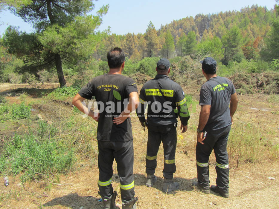 Αυτοψία στη βόρεια Εύβοια: Σε μόνιμη ανεργία οι ρητινοκαλλιεργητές