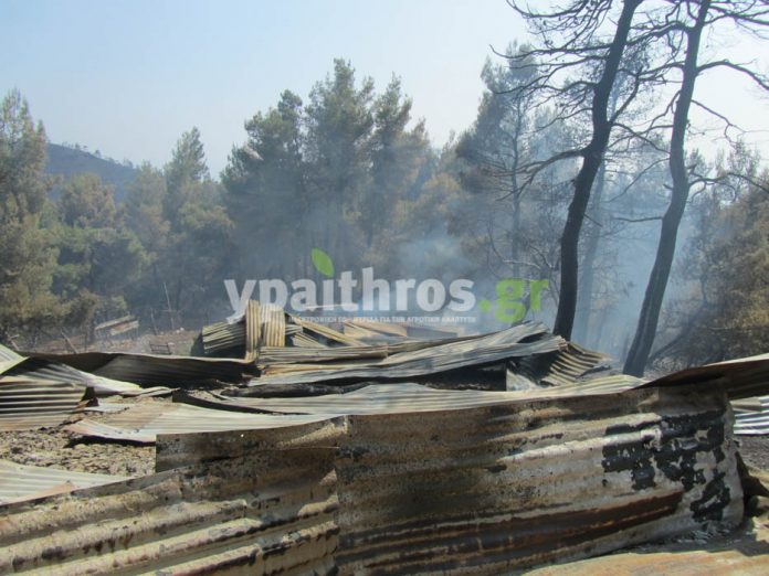 καμένα της Βόρειας Εύβοιας καμένα της Βόρειας Εύβοιας