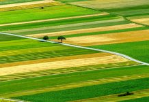 Παράταση δίνει το ΥπΑΑΤ στην παραχώρηση αγροτικής γης σε αγρότες και άνεργους