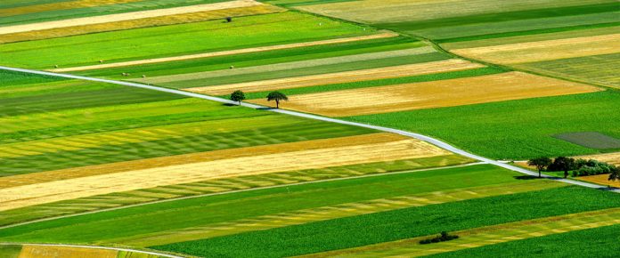 Παράταση δίνει το ΥπΑΑΤ στην παραχώρηση αγροτικής γης σε αγρότες και άνεργους