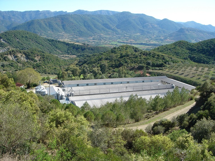 apo-ti-farma-tis-oikogeneias-ayfanti-sto-trapezi-47733