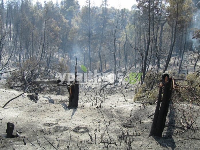 Προληπτικά μέτρα αντιπυρικής προστασίας ζητούν οι γεωτεχνικοί Προληπτικά μέτρα αντιπυρικής προστασίας ζητούν οι γεωτεχνικοί