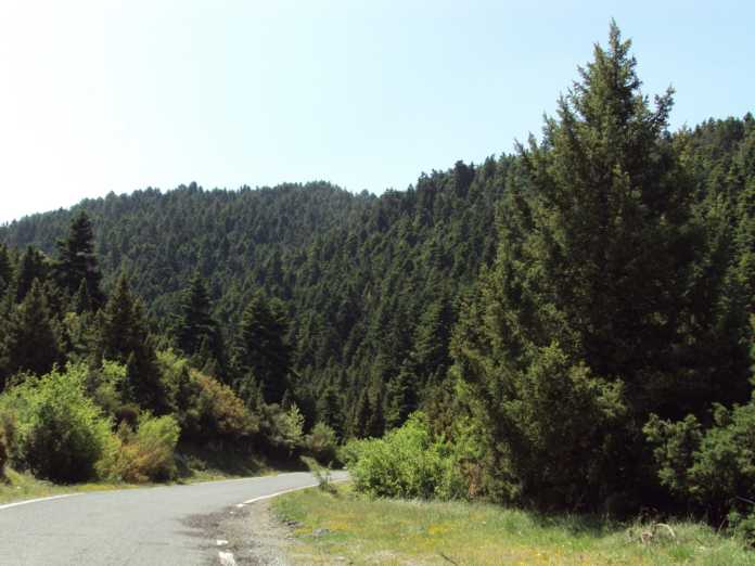 apagorefsi-kykloforias-se-thaso-kai-dasikes-perioches-tis-kavalas-47796