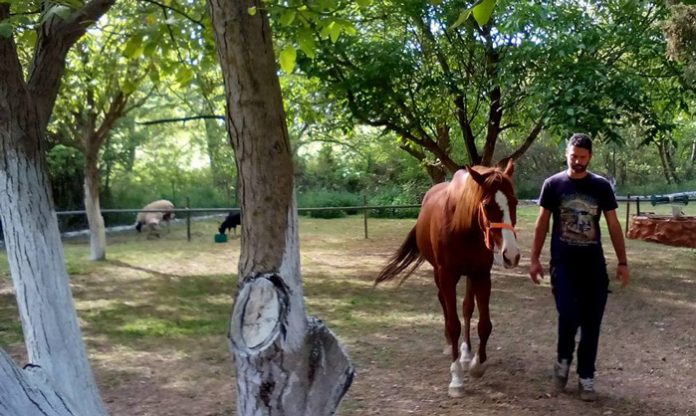Επιχειρηματικά θαύματα στους πρόποδες της Δίρφυς Επιχειρηματικά θαύματα στους πρόποδες της Δίρφυς