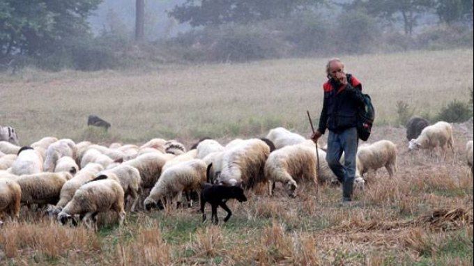teli-avgoustou-i-pliromi-viologikon-akolouthoun-ta-ypoloipa-tis-exisotikis-2014-46826